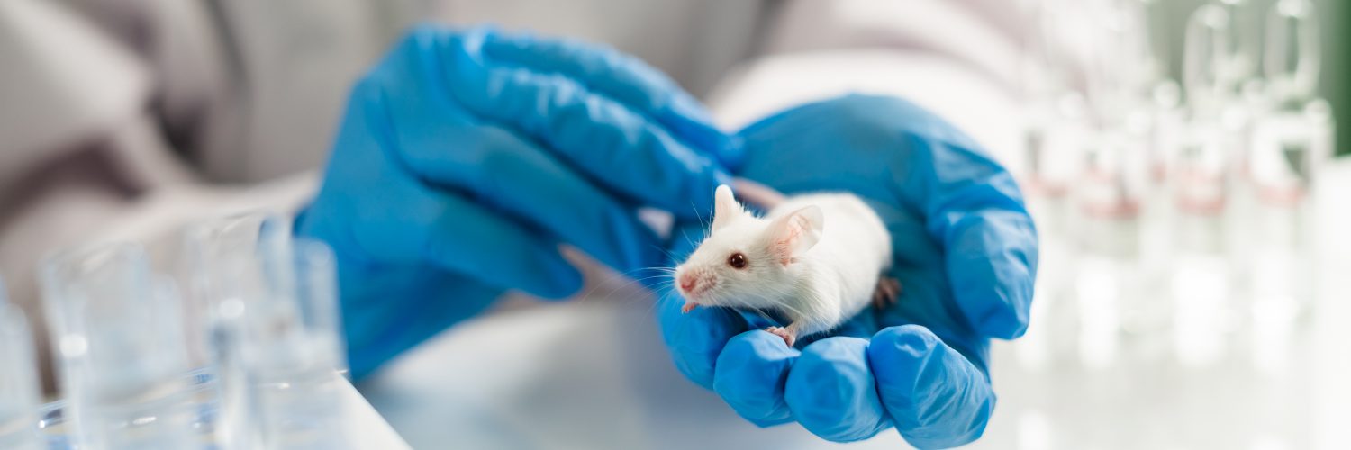 medical research in animals